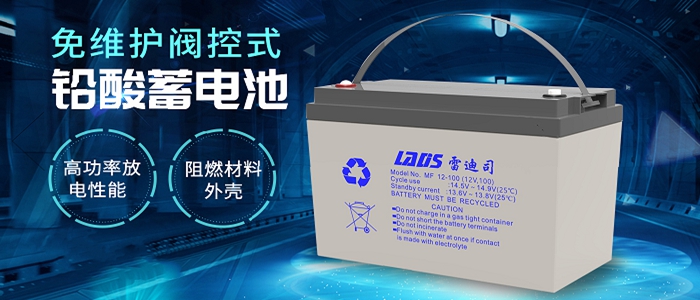雷迪司蓄电池-雷迪司(LADS)湖北科技有限公司